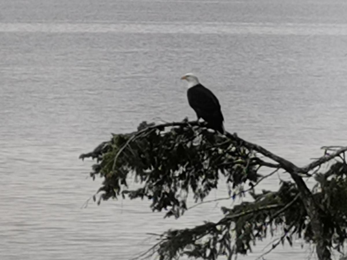 Vancouver Island Castle Cove Inn Chemainus Esterno foto