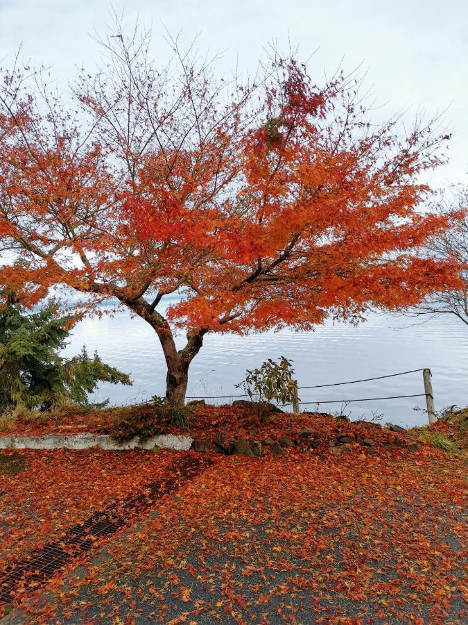 Vancouver Island Castle Cove Inn Chemainus Esterno foto