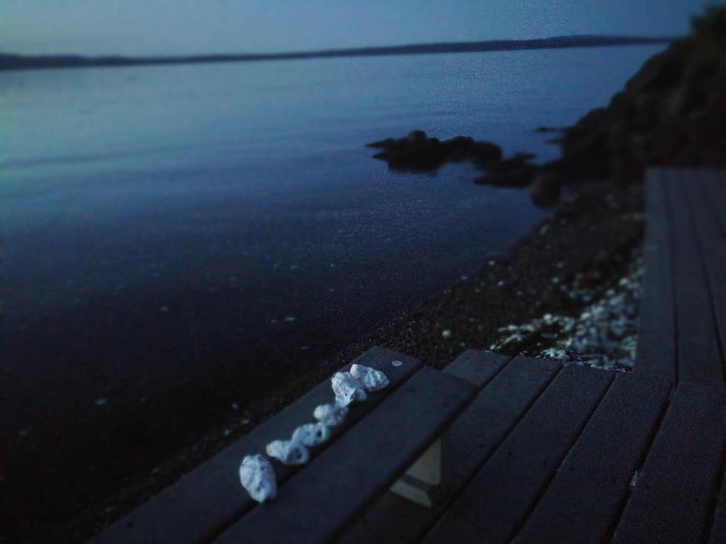 Vancouver Island Castle Cove Inn Chemainus Esterno foto