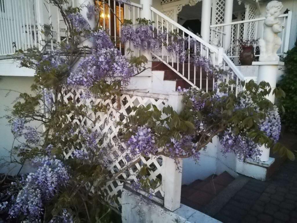 Vancouver Island Castle Cove Inn Chemainus Esterno foto