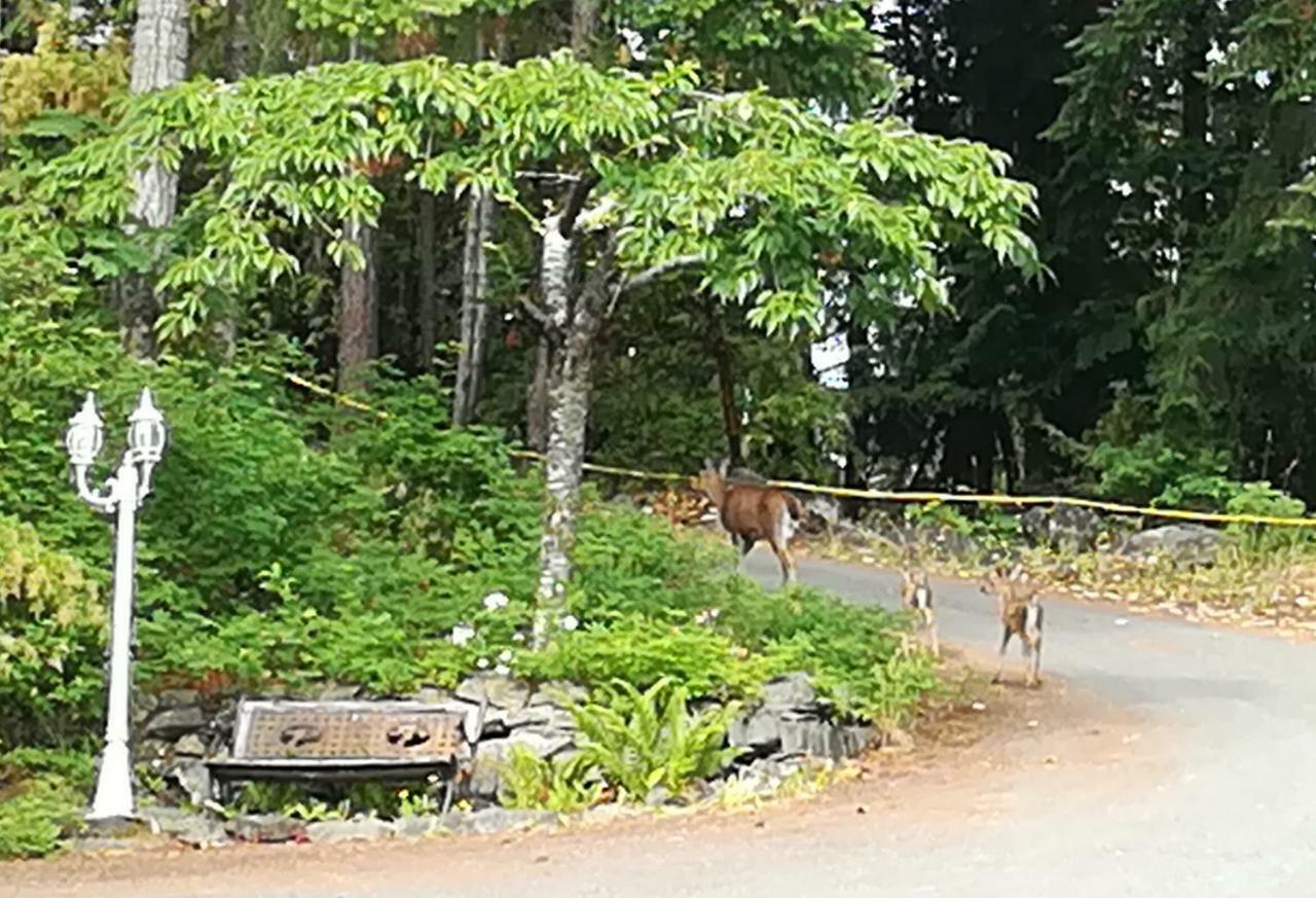Vancouver Island Castle Cove Inn Chemainus Esterno foto