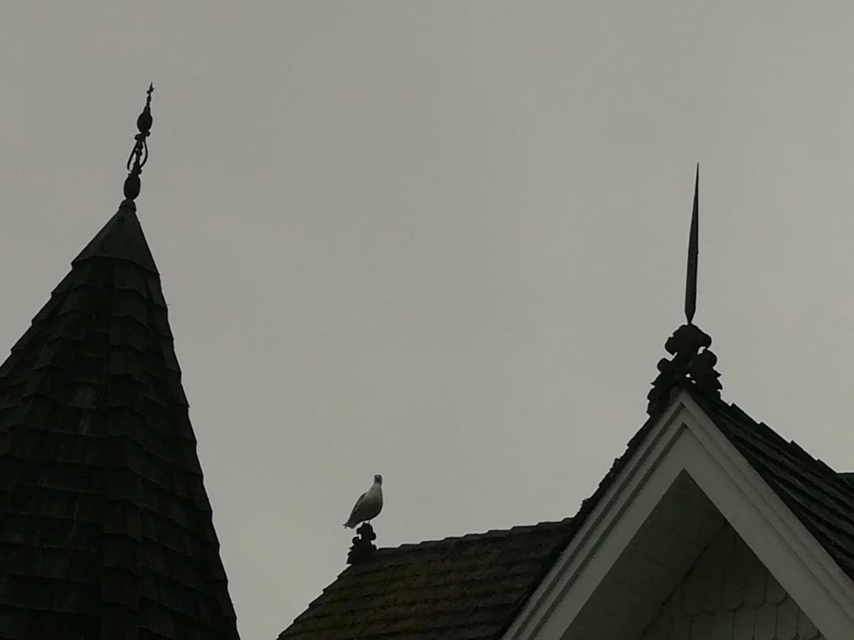 Vancouver Island Castle Cove Inn Chemainus Esterno foto